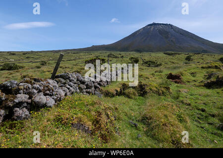 Ponta do Pico paysage montrant (le mont Pico), la plus haute montagne du Portugal et le volcan, avec lavastone murs dans l'avant-plan, les Açores Banque D'Images