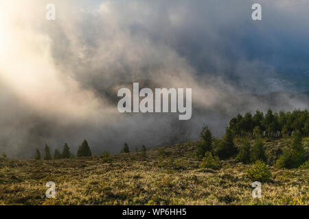 La lumière incroyable et le brouillard d'un déplacement sur le paysage de forêts sur le cratère de Lagoa do Fogo sur l'île de São Miguel, Açores Banque D'Images