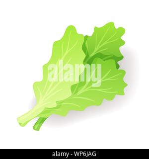 L'icône de la feuille fraîche salade verte, isolées des aliments organiques, végétales, vector illustration. Illustration de Vecteur