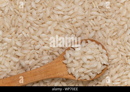 La texture des grains crus non cuits de courte blanche italica ou riz arborio. Resto italien food concept. Banque D'Images