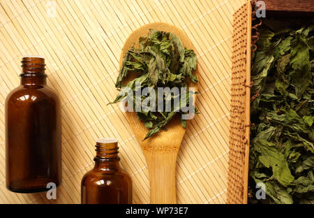 Feuilles de menthe poivrée biologique dans la cuillère en bambou et dans la boîte. Herbe séchée préparée pour faire du thé ou de l'extrait pour les besoins médicaux ou cosmétiques Banque D'Images