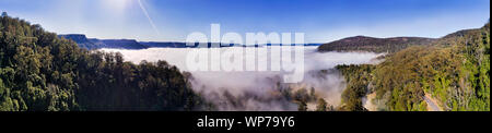 Kangaroo Valley en Australie recouverte d'une épaisse couche de brouillard blanc formant des nuages entre les sommets des montagnes environnantes avec de la gomme-tree woods en soft morn Banque D'Images