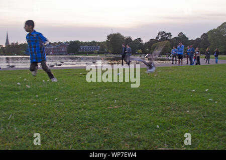 Boy sont pourchassés par une oie cendrée à Kensington Gardens, Londres. Banque D'Images