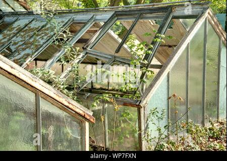 Paris, Nogent-sur-Marne, Bois de Vincennes, le Jardin d'agronomie tropicale Banque D'Images