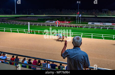 L'homme regardant course de chevaux à racetrack Banque D'Images