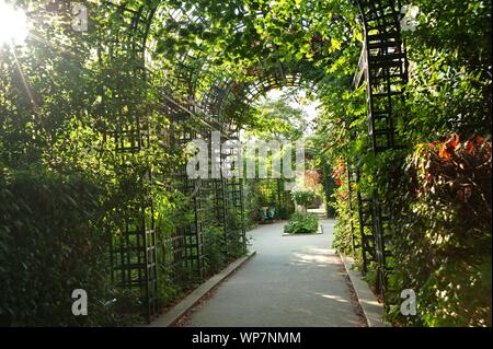 Die coulée verte René-Dumont qu'un 4,5 kilomètre langer, Parkwanderweg Entlang der zunächst der Avenue Daumesnil im 12. Arrondissement von Paris füh Banque D'Images