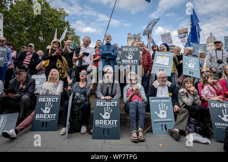 Londres, Royaume-Uni. 7 Septembre, 2019. Anti-Brexit Brexit partisans hold 'Stop' rassemblement à la place du Parlement. Crédit : Guy Josse/Alamy Live News Banque D'Images