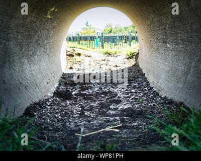 La lumière dans le tunnel. Banque D'Images