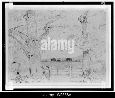 Lindos, ent[ra]nc[e] aux amiraux pen de Greenwich, Jamaïque Banque D'Images