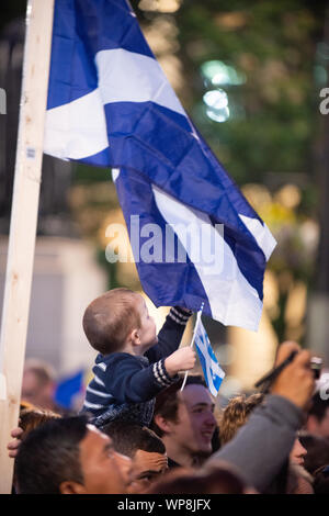 Glasgow, Royaume-Uni. 18 Sep, 2014. L'indépendance écossaise, le garçon pour atteindre le drapeau à George Square, Glasgow, Royaume-Uni le jeudi 18 septembre, 2014 Banque D'Images