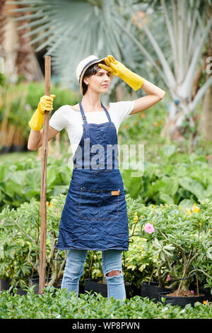 Fatigué de froncer woman wiping la sueur de son front après la plantation des fleurs dans jardin toute la journée Banque D'Images