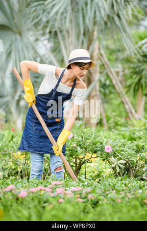 Jeune femme sérieuse avec de l'herbe de nettoyage lors de l'utilisation du râteau en public le jardin de fleurs Banque D'Images