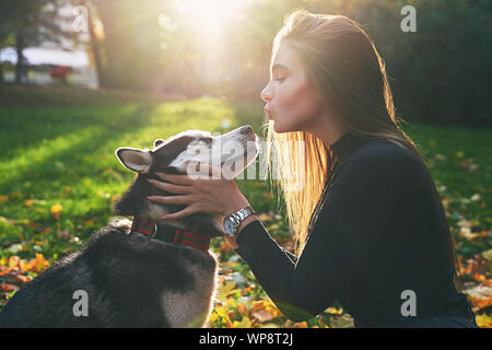 Belle jeune fille jouant avec son joli chien husky animal in autumn park couvert en rouge et jaune des feuilles mortes Banque D'Images