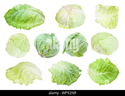 Les feuilles et divers chefs de choux isolé sur fond blanc Banque D'Images