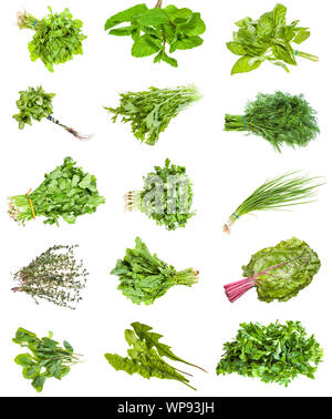 Différents bouquets d'herbes comestibles (scallion, mizuna, de la menthe, du thym, de la coriandre, coriandre, basilic, persil, aneth, cresson, blettes, pissenlit, etc.) Banque D'Images