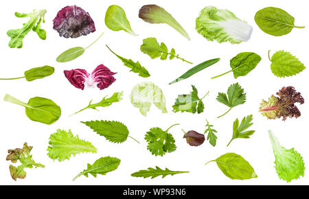 Diverses feuilles fraîches de verts comestibles isolé sur fond blanc Banque D'Images