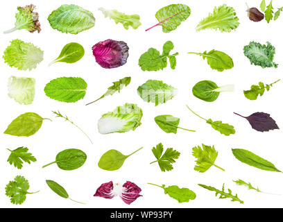 De nombreuses différentes feuilles fraîches de verts comestibles isolé sur fond blanc Banque D'Images