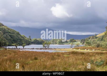 Cynwch Llyn lac sur le précipice populaire à pied, le parc national de Snowdonia, le Nord du Pays de Galles, Royaume-Uni Banque D'Images