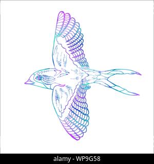 Illustration d'un néon avaler dans un profil. Flying bird cosmique Illustration de Vecteur