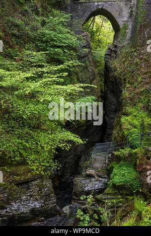 Pont du diable un emplacement de trois ponts, l'un sur l'autre au-dessus d'un ravin rocheux près de Aberyswyth Mid Wales. Banque D'Images