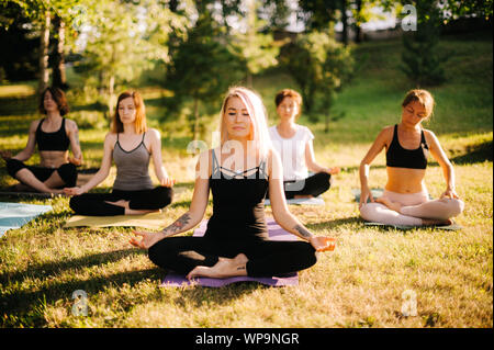 Jeune femme blonde sont des cours de yoga dans le parc nature été ensoleillé matin Banque D'Images