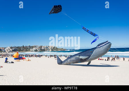 Festival du vent, Bondi Beach, Sydney. Festival de cerf-volant est la plus grande. Banque D'Images