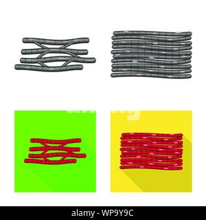 Objet isolé de la fibre musculaire et signe. Ensemble de fibres et de corps icône vecteur pour stock. Illustration de Vecteur