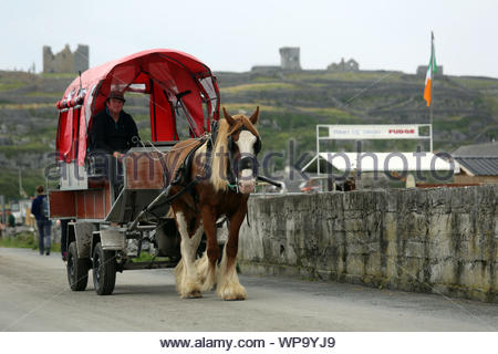 Un cheval et un chariot sur l'île d'Inisheer qui est l'une des îles d'Aran au large de la côte de Galway. Banque D'Images