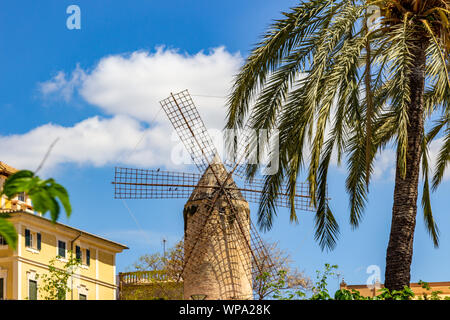 Moulin à Palma sur l'île des Baléares Mallorca, Espagne sur une journée ensoleillée avec des palmiers en face Banque D'Images