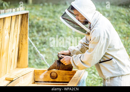 Les abeilles avec l'apiculteur fumeur fumeur d'abeilles sur le rucher Banque D'Images