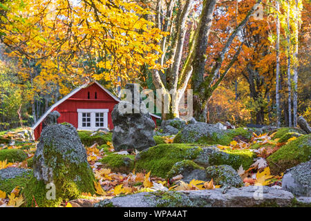 Red cottages dans un jardin de pierres et de feuilles d'automne Banque D'Images