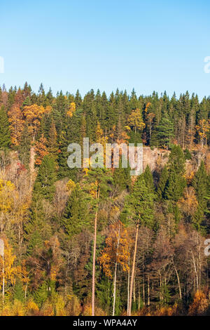 Couleur d'automne forêt avec une falaise Banque D'Images