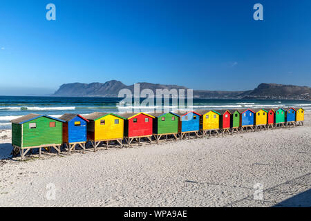 Maisons de Plage colorés sur la plage, Muizenberg, Cape Town, Western Cape, Afrique du Sud Banque D'Images