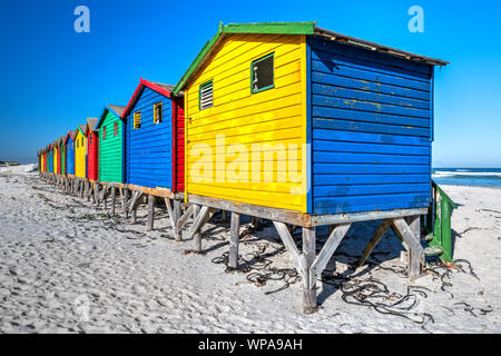 Maisons de Plage colorés sur la plage, Muizenberg, Cape Town, Western Cape, Afrique du Sud Banque D'Images