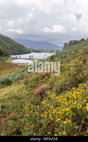 Cynwch Llyn lac sur le précipice populaire à pied, le parc national de Snowdonia, le Nord du Pays de Galles, Royaume-Uni Banque D'Images