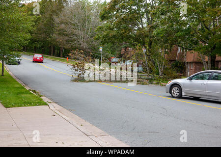 Halifax (Nouvelle-Écosse)- 8 septembre 2019 - Un véhicule attend pour passer une branche tombée et ligne électrique tombée après l'Ouragan Dorian au Canada Banque D'Images