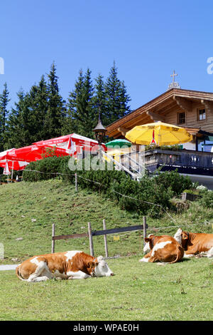 Kitzbühel im Sommer Berghütte Banque D'Images