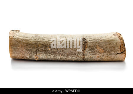 Log isolé sur fond blanc Banque D'Images