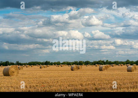 Scène d'automne joyeux avec des balles de paille sur un champ de céréales fauchées en plein soleil avec d'impressionnants nuages dans le skye Banque D'Images
