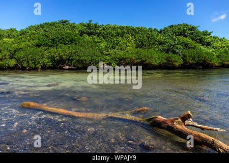 Amazing beach dans le sud-ouest de l'Ile Maurice, l'Afrique Banque D'Images