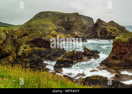 St Abb's Head Sentier du littoral Banque D'Images
