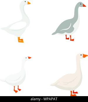 Goose icons set. Télévision ensemble d'icônes vectorielles d'oie pour la conception web Illustration de Vecteur