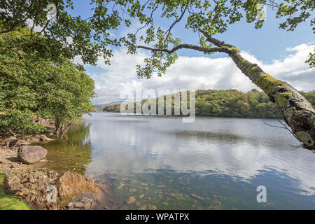 Cynwch Llyn lac sur le précipice populaire à pied, le parc national de Snowdonia, le Nord du Pays de Galles, Royaume-Uni Banque D'Images