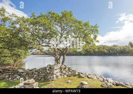 Cynwch Llyn lac sur le précipice populaire à pied, le parc national de Snowdonia, le Nord du Pays de Galles, Royaume-Uni Banque D'Images