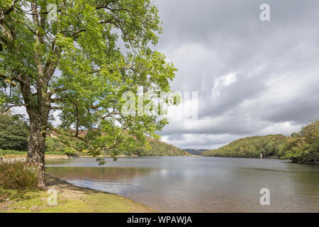 Cynwch Llyn lac sur le précipice populaire à pied, le parc national de Snowdonia, le Nord du Pays de Galles, Royaume-Uni Banque D'Images