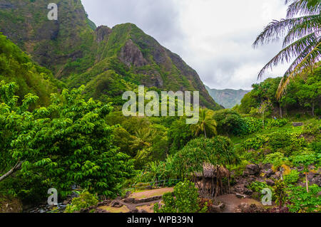 Aperçu de la vallée à l'IAO Needle State Park, Maui, Hawaii, USA Banque D'Images