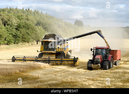 Une moissonneuse-batteuse New Holland travaillant dans un champ près de Pathhead, Midlothian, Ecosse. Banque D'Images