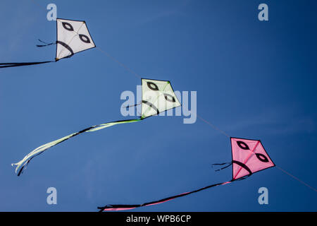 Photos prises de cerfs-volants colorés sur la main d'un festival de cerf-volant sur la plage de Buren sur l'île d'Ameland, Août 2019 Banque D'Images