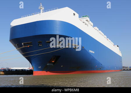 Le car carrier rayon doré est le 15 avril 2019 dans le port de Bremerhaven. Banque D'Images