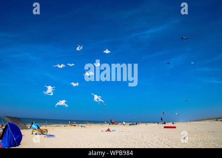 Photos prises de cerfs-volants colorés sur la main d'un festival de cerf-volant sur la plage de Buren sur l'île d'Ameland, Août 2019 Banque D'Images